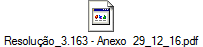 Resoluo_3.163 - Anexo  29_12_16.pdf
