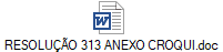 RESOLUÇÃO 313 ANEXO CROQUI.doc